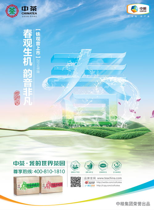 广告设计与财务咨询 构建品牌价值与稳健成长的双引擎